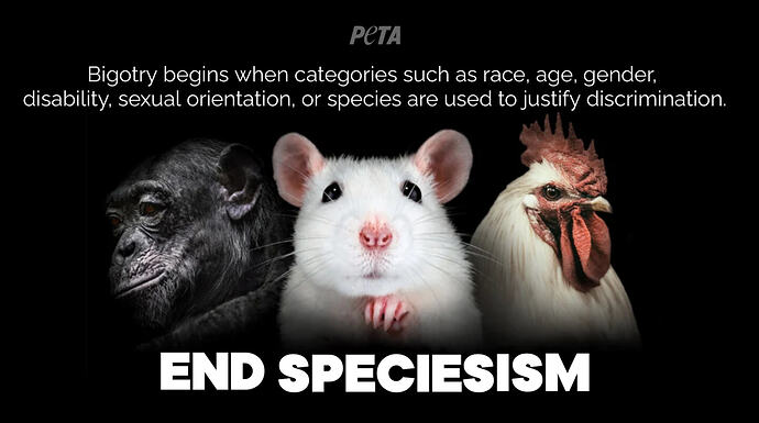 PETA Website Screen Shot